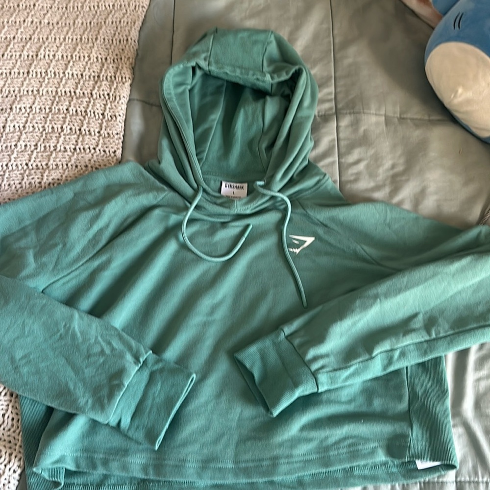 Gym shark cropped hoodie